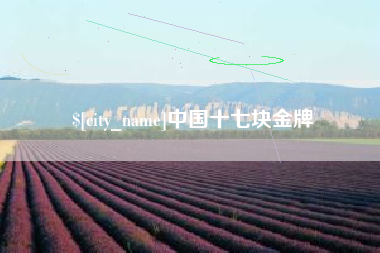 酒泉中国十七块金牌