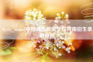 酒泉中国消防救援学院河南招生录取分数