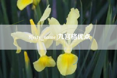 酒泉九宫格优点