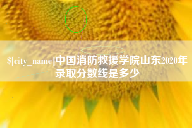 酒泉中国消防救援学院山东2020年录取分数线是多少