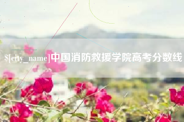 酒泉中国消防救援学院高考分数线