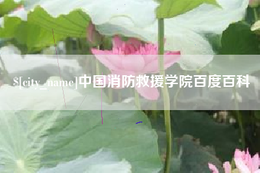 酒泉中国消防救援学院百度百科