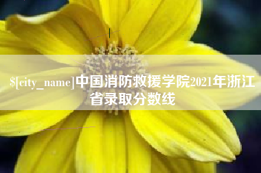 酒泉中国消防救援学院2021年浙江省录取分数线