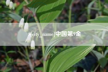 酒泉中国第9金