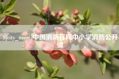 酒泉中国消防官网中小学消防公开课