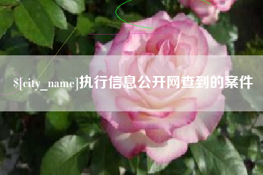 酒泉执行信息公开网查到的案件