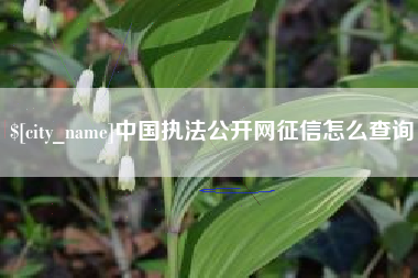酒泉中国执法公开网征信怎么查询