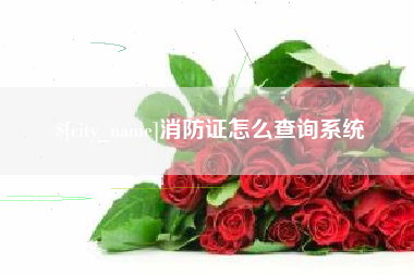 酒泉消防证怎么查询系统