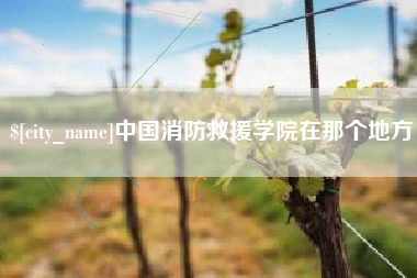 酒泉中国消防救援学院在那个地方