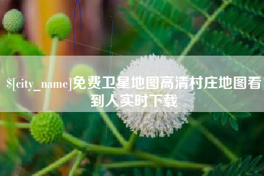 酒泉免费卫星地图高清村庄地图看到人实时下载