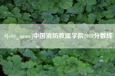酒泉中国消防救援学院2018分数线