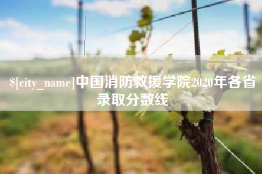 酒泉中国消防救援学院2020年各省录取分数线