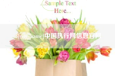 酒泉中国执行网信息官网