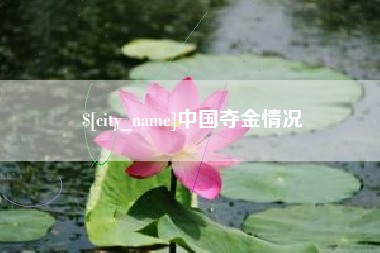 酒泉中国夺金情况