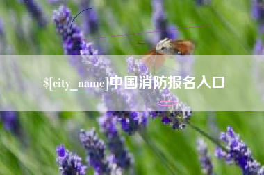 酒泉中国消防报名入口