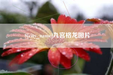 酒泉九宫格龙图片