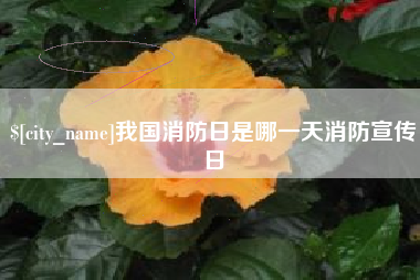 酒泉我国消防日是哪一天消防宣传日