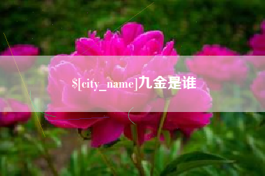 酒泉九金是谁