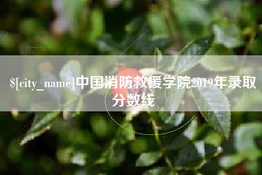 酒泉中国消防救援学院2019年录取分数线
