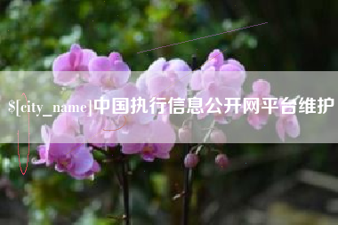 酒泉中国执行信息公开网平台维护
