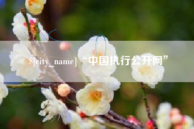 酒泉“中国执行公开网”