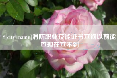 酒泉消防职业技能证书查询以前能查现在查不到