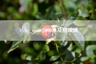 酒泉5000米及格成绩