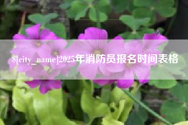 酒泉2025年消防员报名时间表格