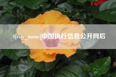 酒泉中国执行信息公开网后