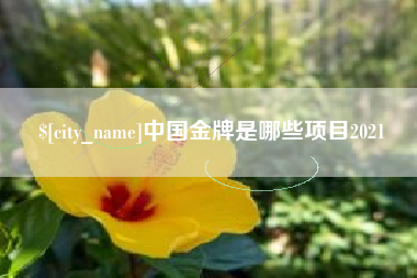 酒泉中国金牌是哪些项目2021