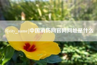 酒泉中国消防网官网网址是什么