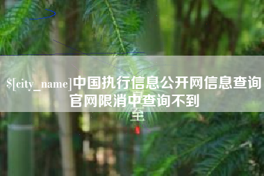 酒泉中国执行信息公开网信息查询官网限消中查询不到