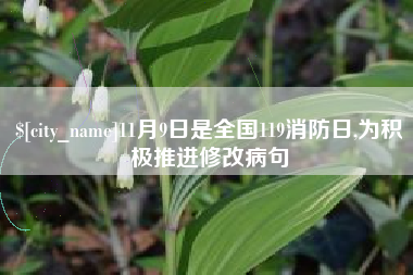 酒泉11月9日是全国119消防日,为积极推进修改病句