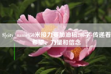 酒泉50米接力赛加油稿200字-传递着希望、力量和信念