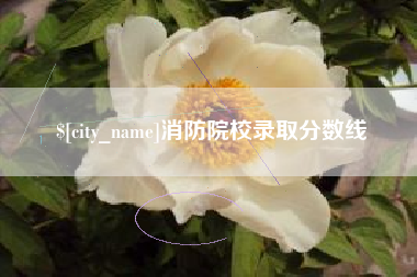 酒泉消防院校录取分数线