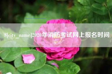 酒泉2020年消防考试网上报名时间