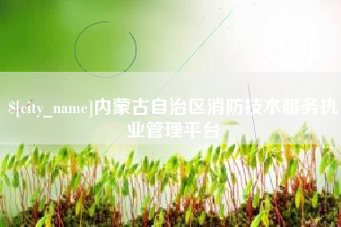 酒泉内蒙古自治区消防技术服务执业管理平台