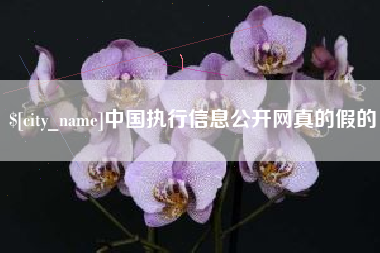 酒泉中国执行信息公开网真的假的