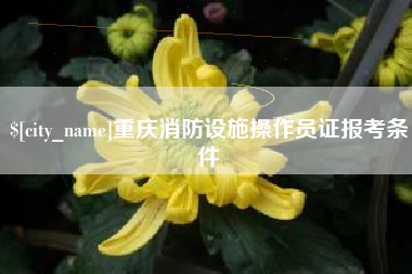 酒泉重庆消防设施操作员证报考条件