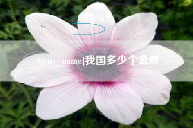 酒泉我国多少个金牌