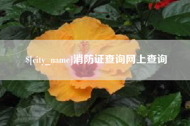酒泉消防证查询网上查询
