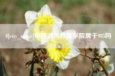 酒泉中国消防救援学院属于985吗