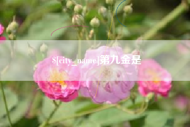 酒泉第九金是
