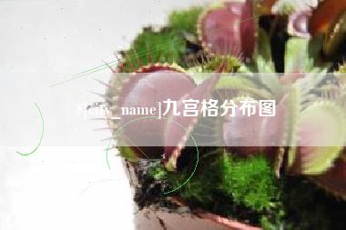 酒泉九宫格分布图