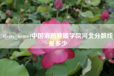 酒泉中国消防救援学院河北分数线是多少