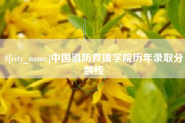 酒泉中国消防救援学院历年录取分数线
