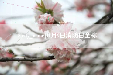 酒泉11月9日消防日全称
