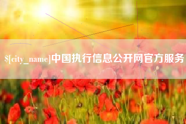 酒泉中国执行信息公开网官方服务