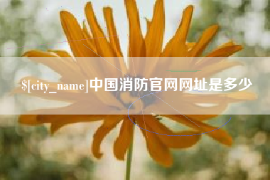 酒泉中国消防官网网址是多少