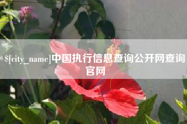 酒泉中国执行信息查询公开网查询官网